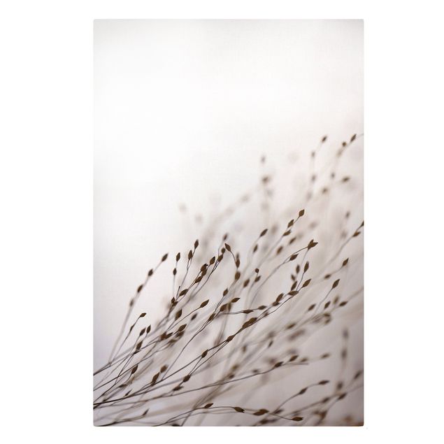 Contemporary art prints Soft Grasses In Slipstream
