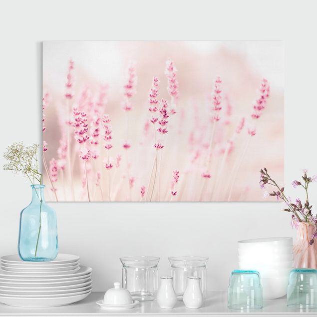 Canvas prints grasses Pale Pink Lavender