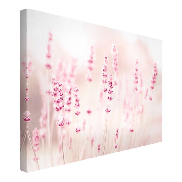 Prints flower Pale Pink Lavender