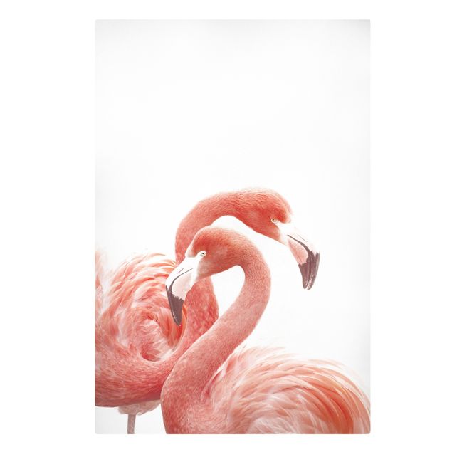 Animal canvas Two Flamingos