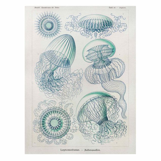 Prints blue Vintage Board Jellyfish In Blue