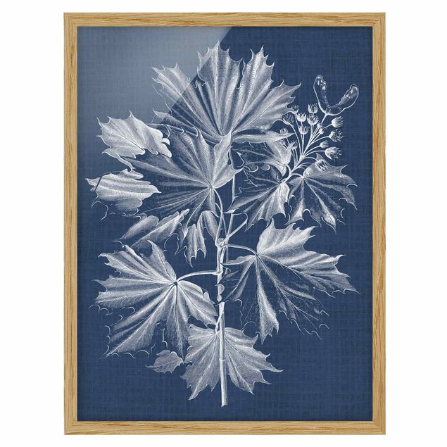 Framed floral Denim Plant Study V