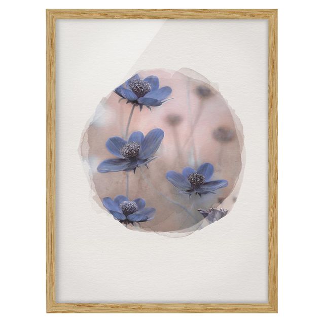 Flowers framed Water Colours - Blue Kosmeen