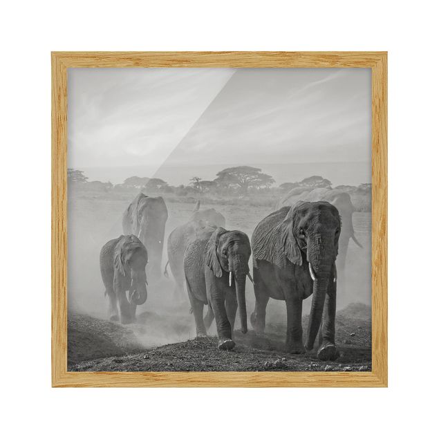 Prints animals Herd Of Elephants