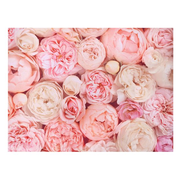 Modern art prints Roses Rosé Coral Shabby