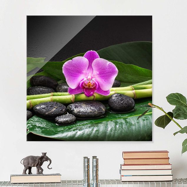 Glass prints orchid Green Bamboo With Orchid Flower