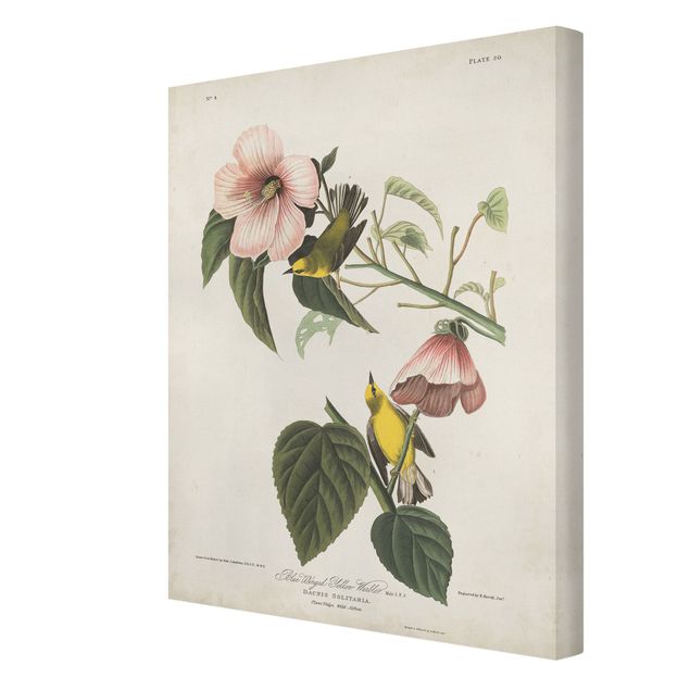 Floral canvas Vintage Board Warbler II