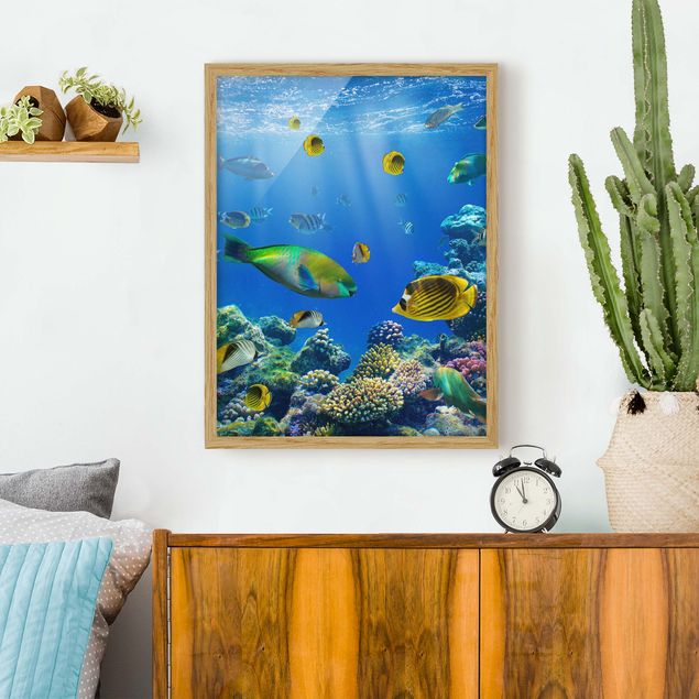 Prints fishes Underwater Lights
