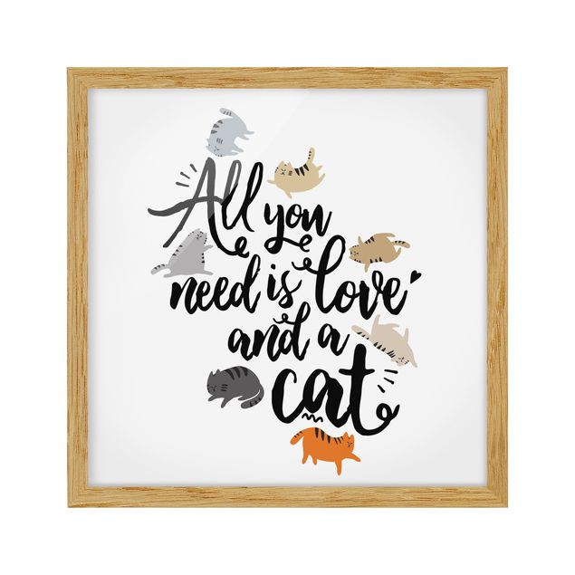 Prints quotes All You Need Is Love And A Cat