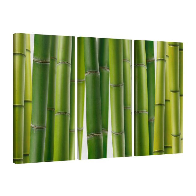 Bamboo framed art Bamboo Plants