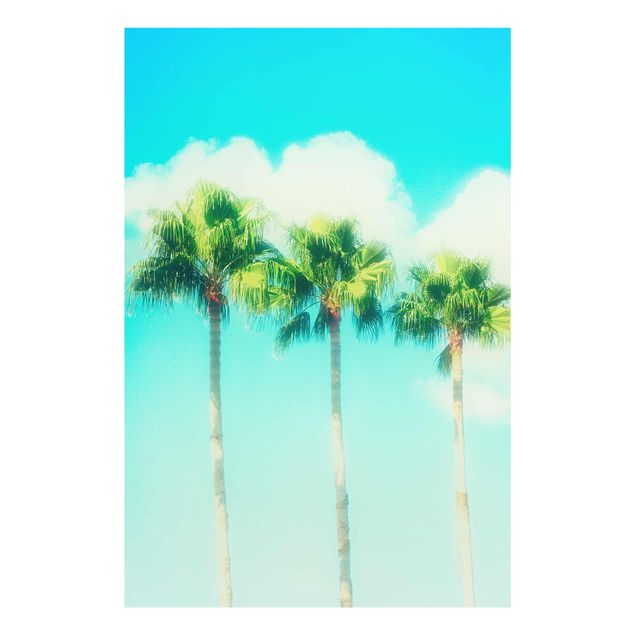 Floral canvas Palm Trees Against Blue Sky