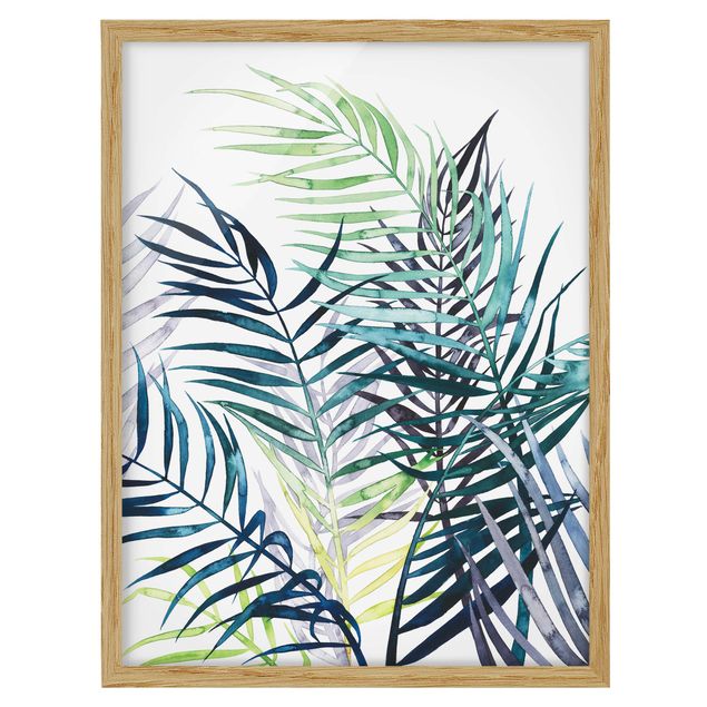 Flowers framed Exotic Foliage - Palme