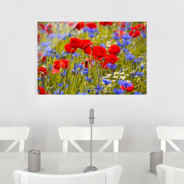 Glass prints poppy Summer Meadow With Poppies And Cornflowers