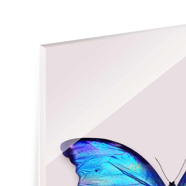 Prints animals Holographic Butterfly