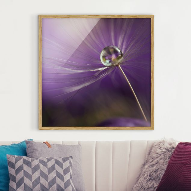 Floral canvas Dandelion In Violet