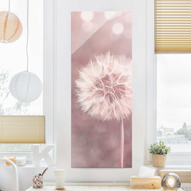 Glass prints dandelion clock Dandelion Bokeh Light Pink