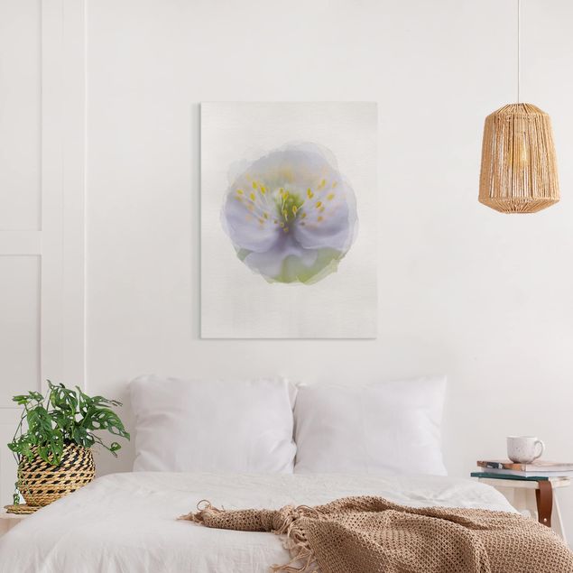 Prints flower WaterColours - Anemones Beauty