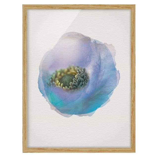 Flower pictures framed WaterColours - Anemone On The River