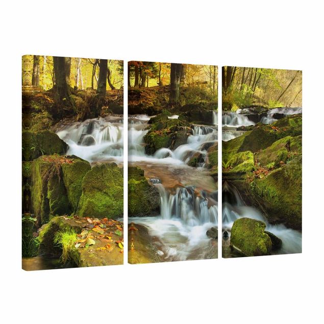 Canvas waterfall Waterfall Autumnal Forest