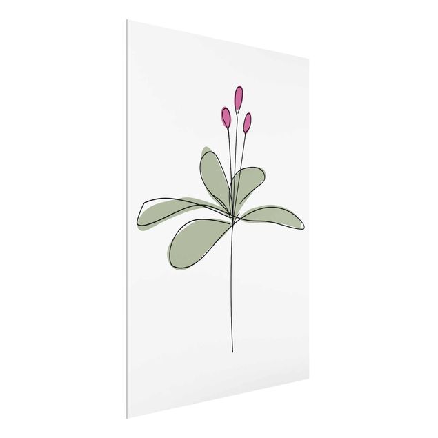 Glass prints flower Lily Line Art