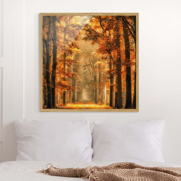 Prints landscape Enchanted Forest In Autumn