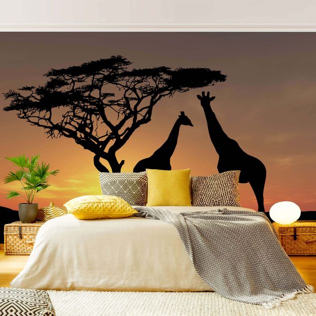 Wallpapers giraffe African Sunset