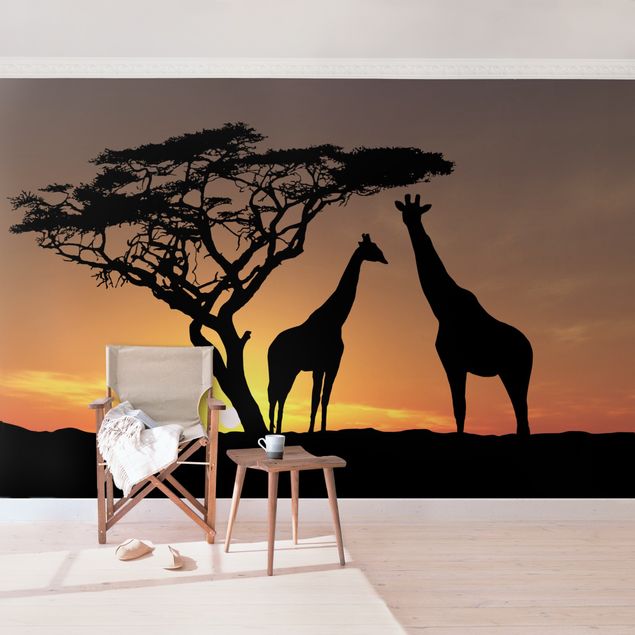 Africa wallpaper African Sunset