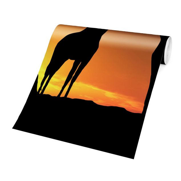 Wallpapers animals African Sunset