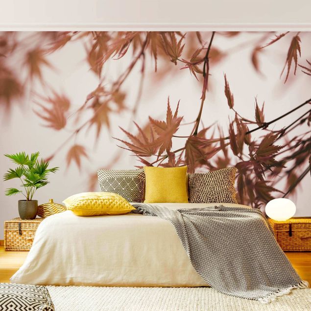 Wallpapers modern Maple Leaf In Autumn Sun