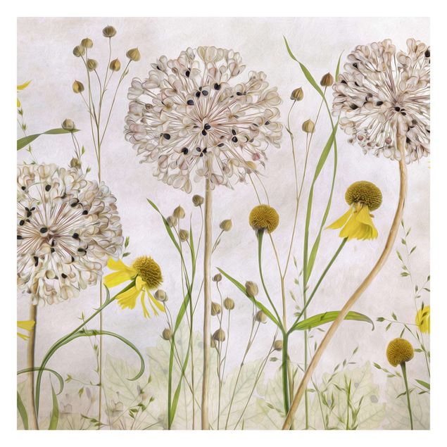 Peel and stick wallpaper Allium And Helenium Illustration