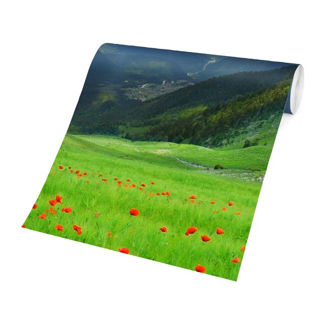 Wallpapers modern Alpine Meadow