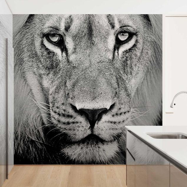 Black and white aesthetic wallpaper Old Lion