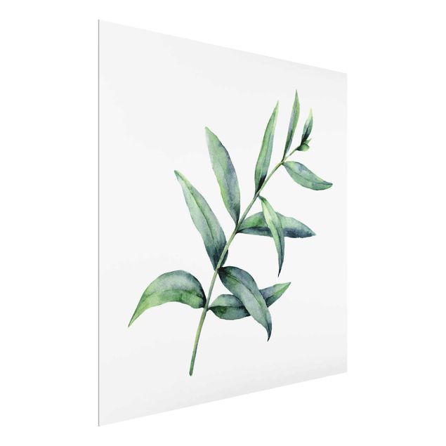 Prints flower Waterclolour Eucalyptus l
