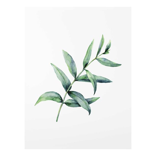 Prints green Waterclolour Eucalyptus l