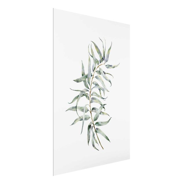 Prints flower Waterclolour Eucalyptus lV