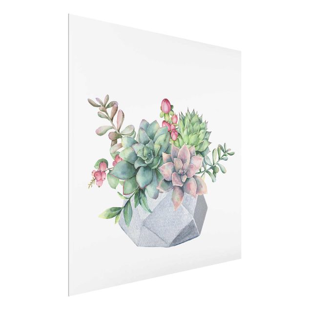 Prints flower Watercolour Succulents Illustration