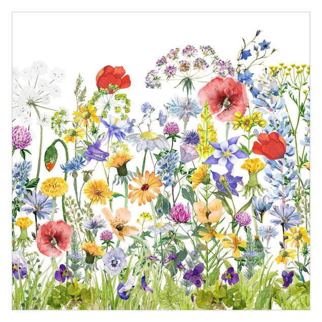 Adhesive wallpaper Watercolour Flower Meadow
