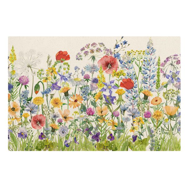 Prints multicoloured Watercolour Flower Meadow
