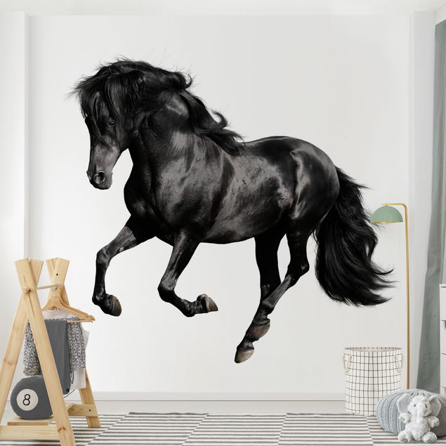 Pony wallpaper Arabian Stallion