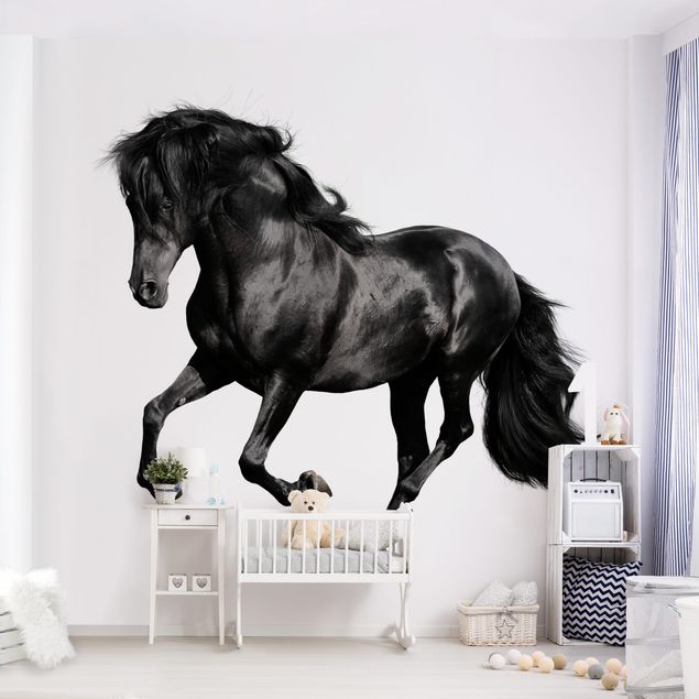 Contemporary wallpaper Arabian Stallion