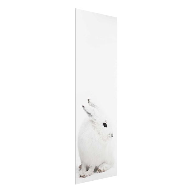 Contemporary art prints Arctic Hare