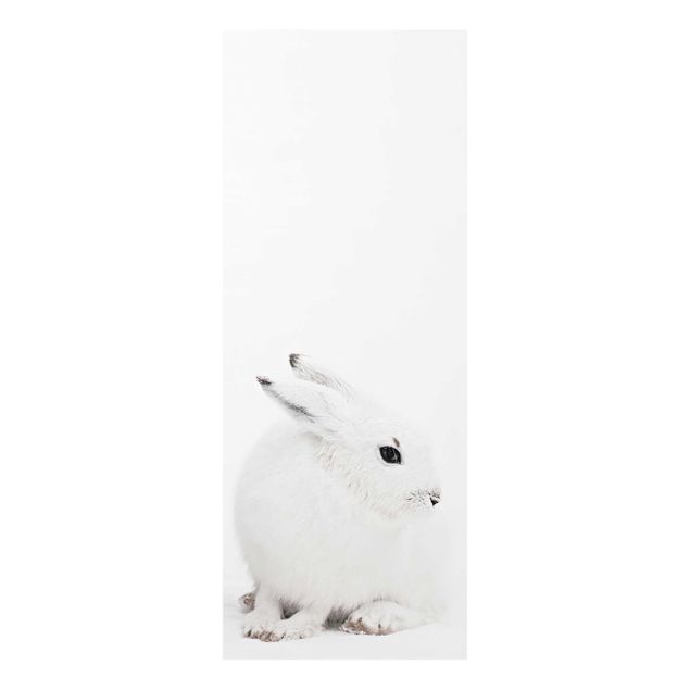 Monika Strigel Art prints Arctic Hare