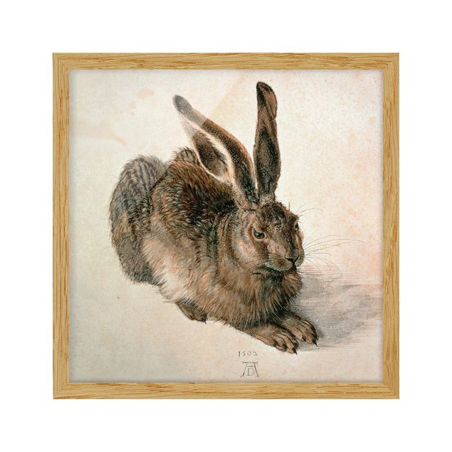Framed prints Albrecht Dürer - Young Hare
