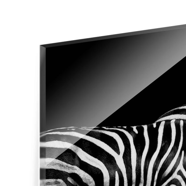Prints Zebra In The Dark