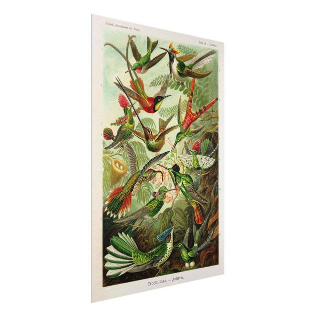 Prints flower Vintage Board Hummingbirds