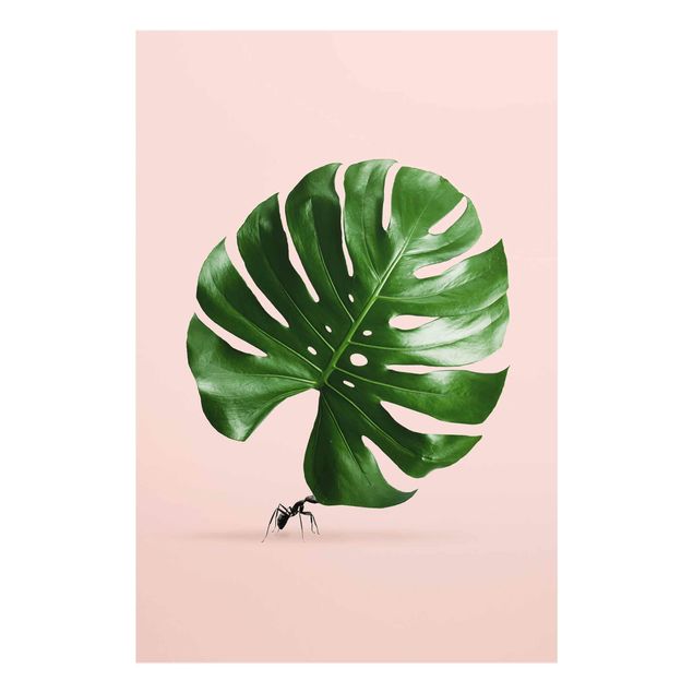 Floral prints Ant With Monstera Leaf