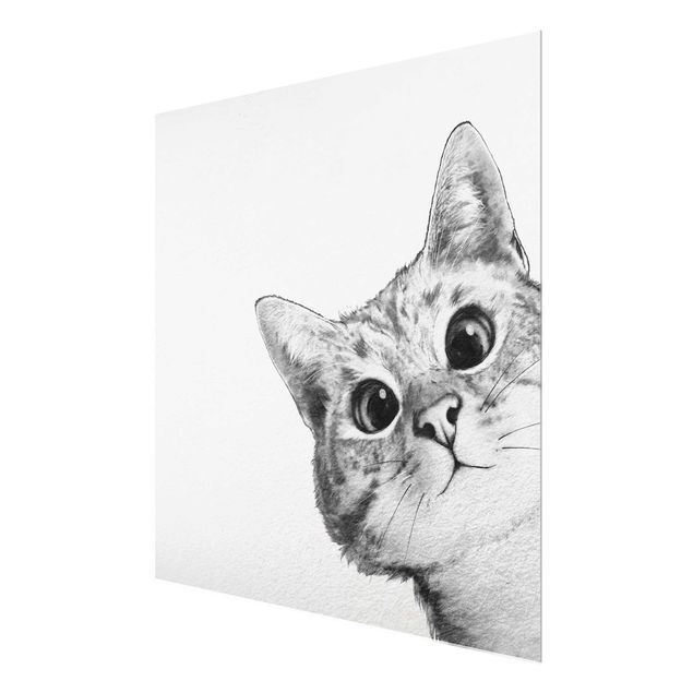 Glass prints pieces Illustration Cat Drawing Black And White