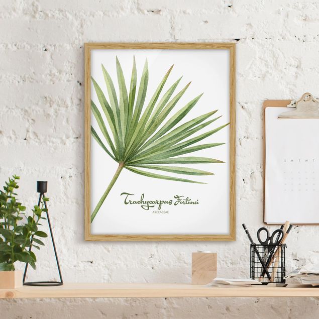 Framed quotes Watercolour Botany Trachycarpus Fortunei