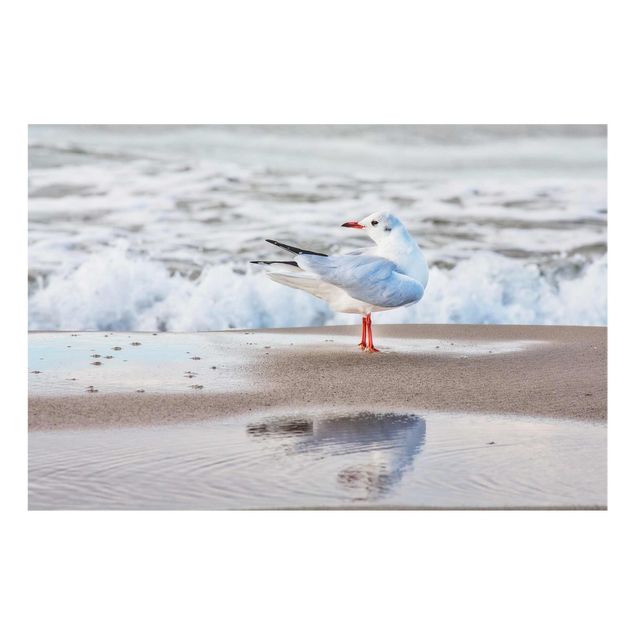 Glass prints landscape Seagull On The Beach In Front Of The Sea