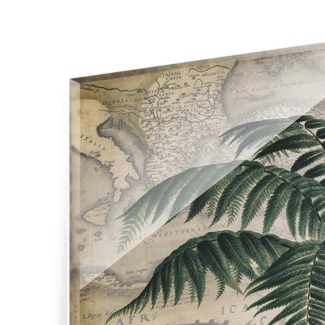 Andrea Haase Vintage Collage - Palm And World Map